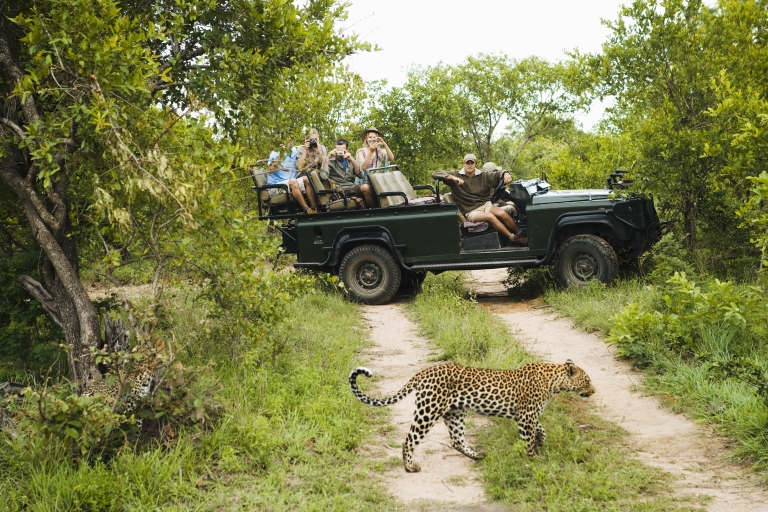 South-Africa-Kruger-National-Park-Safari.jpg