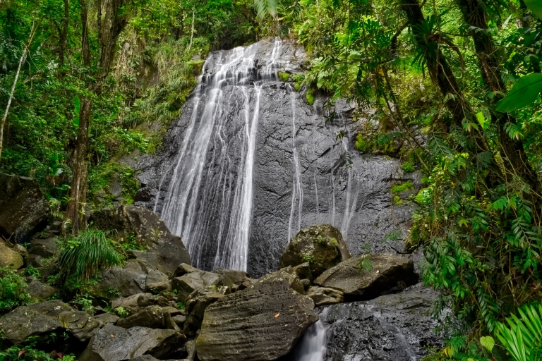 La_Coca_Waterfall_El_Yunque_Puerto_Rico.jpg