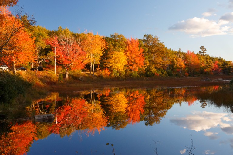 Maine-Bar Harbor-Acadia-Fall-Trees-Lake.jpg