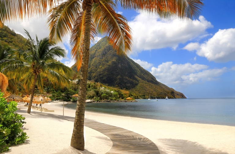 St Lucia-Beach-Palm