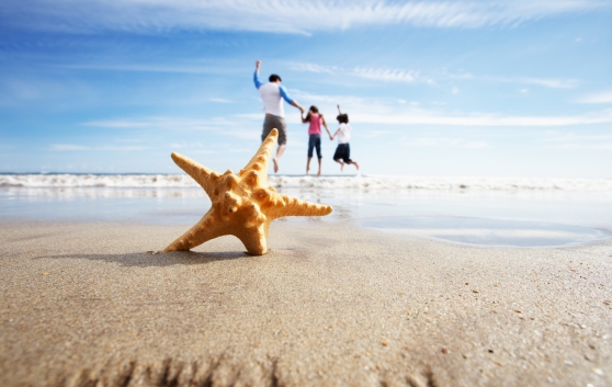 Starfish-Beach-Family.jpg