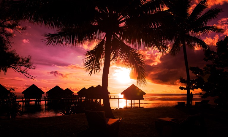 french-polynesia-tahiti-beach-silhouette-night-palms-tropical.jpg