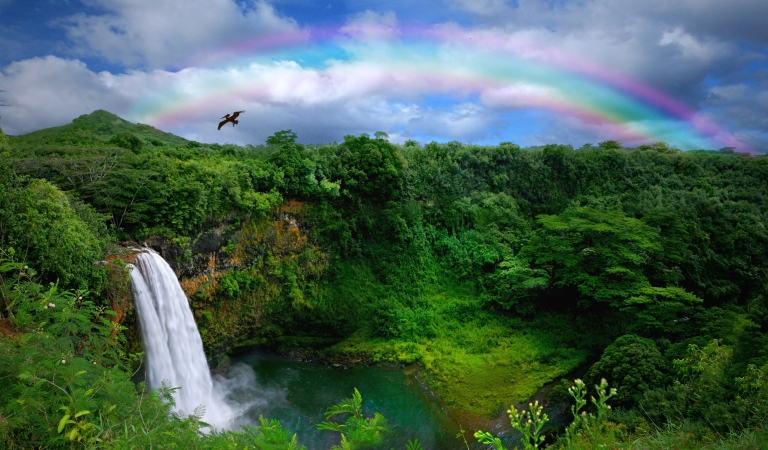 Hawaii_Kauai-waterfall.jpg