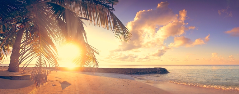 Tropical beach-palm trees-sunset-vintage.jpg