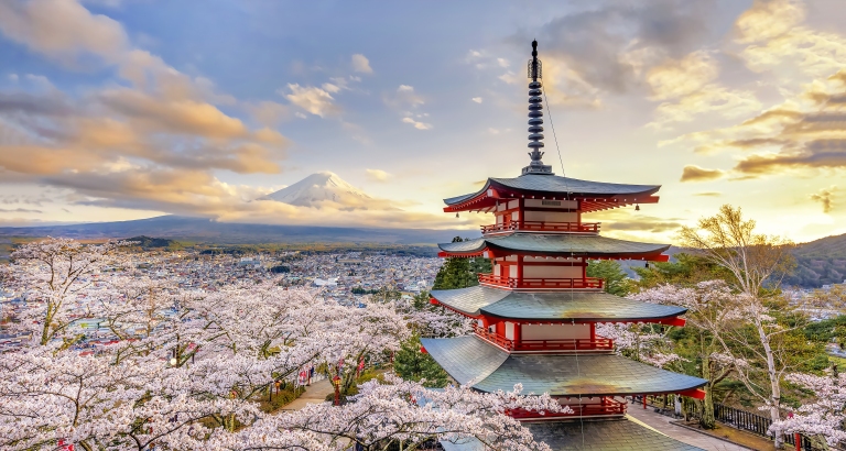Tokyo-Temple-Mt Fuji-Sakura Blossoms.jpg