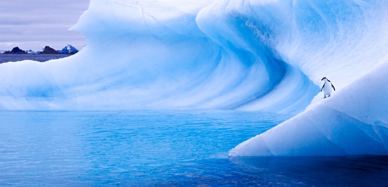 antarctica_penguin_iceberg_curve.jpg
