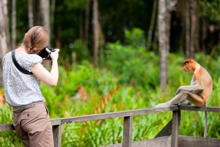 Malaysia-Borneo-Female-photographer-and-proboscis-monkey.jpg