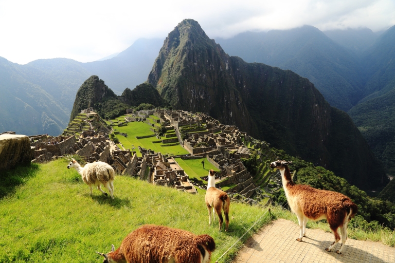 Peru-Machu-Picchu-with-llamas.jpg